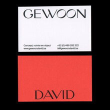 Gewoon David