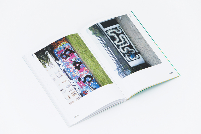 Limo book and website 4