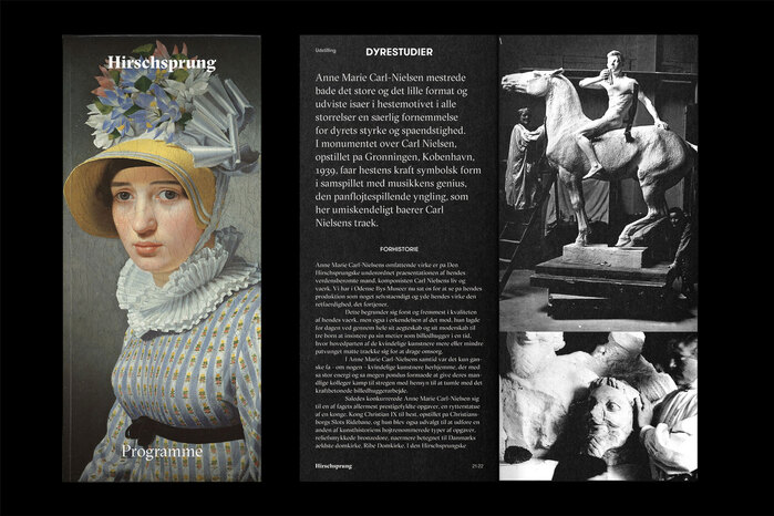 The Hirschsprung Collection identity (proposal) 3