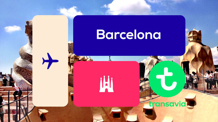 Transavia 2015 identity 6