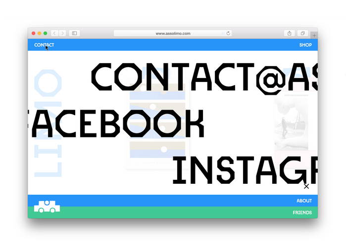 Limo book and website 10