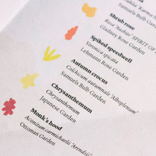 <cite>In Bloom</cite> brochure