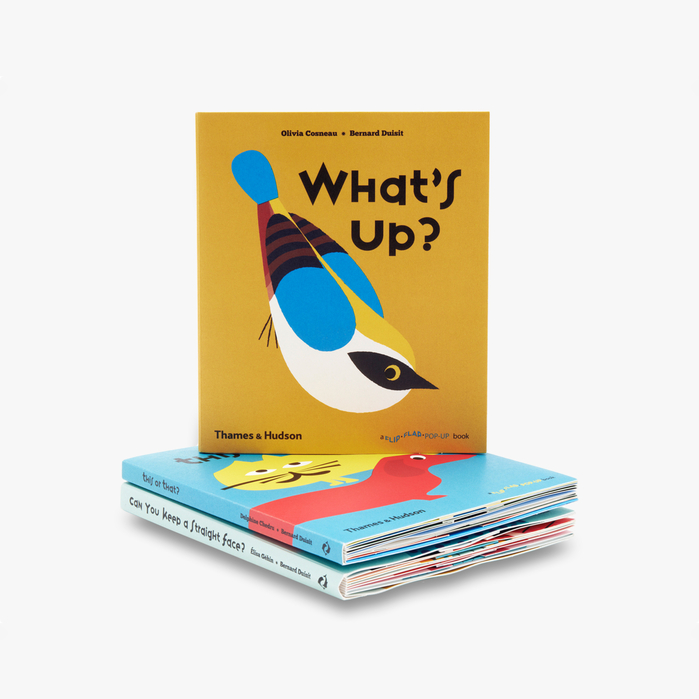 Cover for What’s up? Illustrations by Olivia Cosneau, published January 2017.