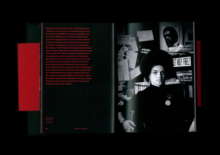 Black Power book 3
