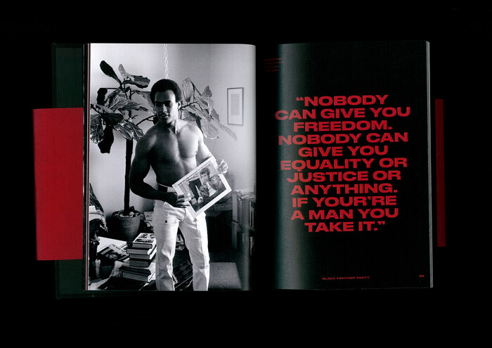 Black Power book 5