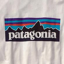 Patagonia logo