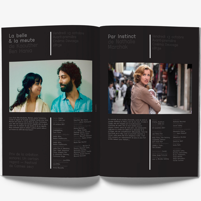 Rencontres Cinématographiques de Dijon 2017 5