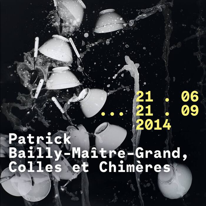 Patrick Bailly-Maître-Grand, Colles et Chimères 4