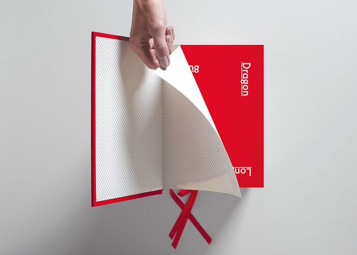 Long Story, made in China 3