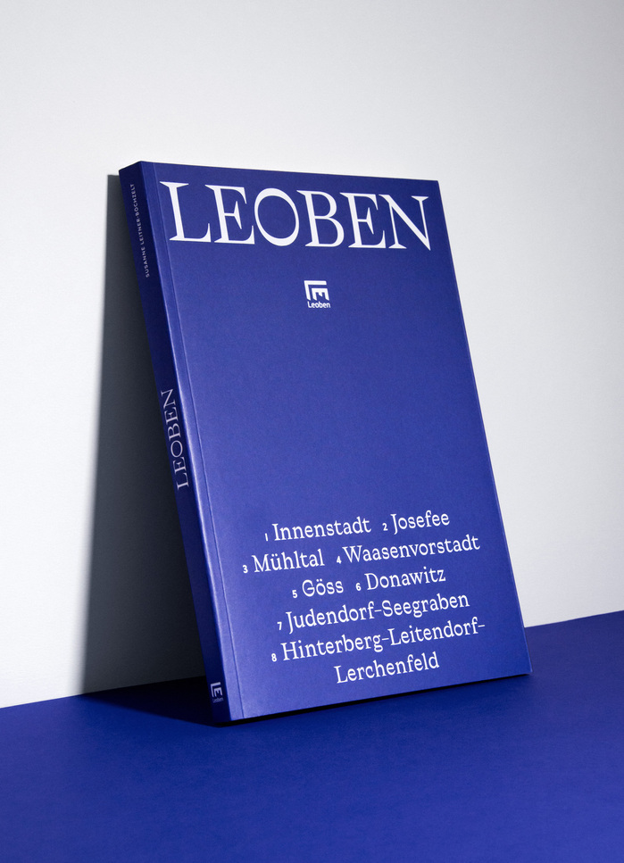 City of Leoben 3