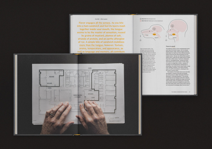 The Senses: Design Beyond Vision 2