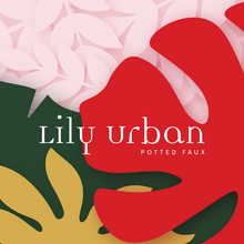 Lily Urban