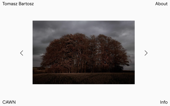 Tomasz Bartosz portfolio website 2