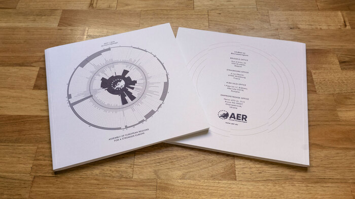 AER Activity Report 8