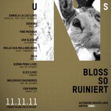 Was hat uns bloss so ruiniert concert poster