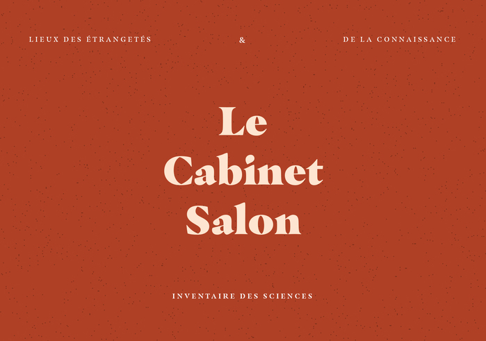 Le Cabinet Salon 1