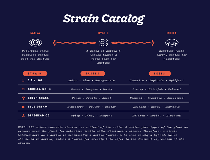 Sonder web and packaging 4