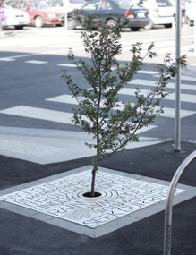 Leeds Street rain garden