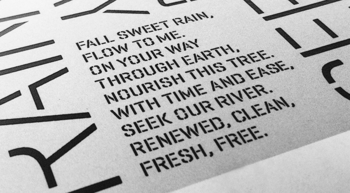 Leeds Street rain garden 4
