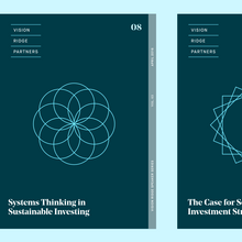 Vision Ridge Partners