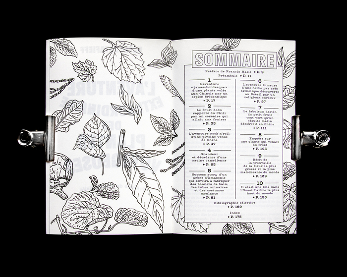 L’Aventure Extraordinaire des Plantes Voyageuses by Katia Astafieff 4