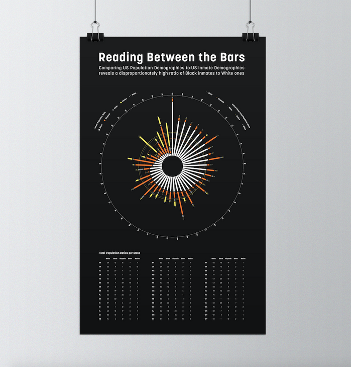 Reading Between the Bars – race demographics in U.S. jails 1