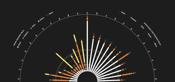 Reading Between the Bars – race demographics in U.S. jails 2