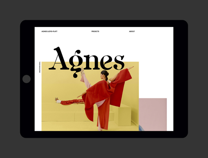 Agnes Lloyd-Platt website 1