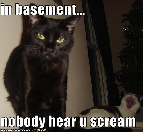 LOLcats internet meme 4