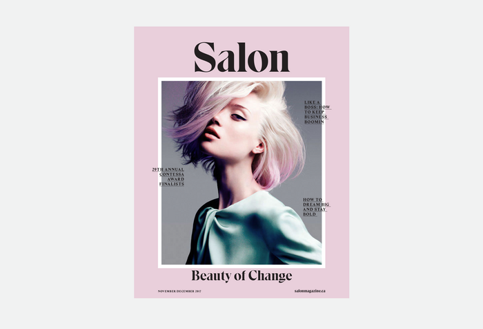 Salon magazine redesign 1