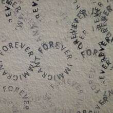<cite>Forever Immigrant</cite>