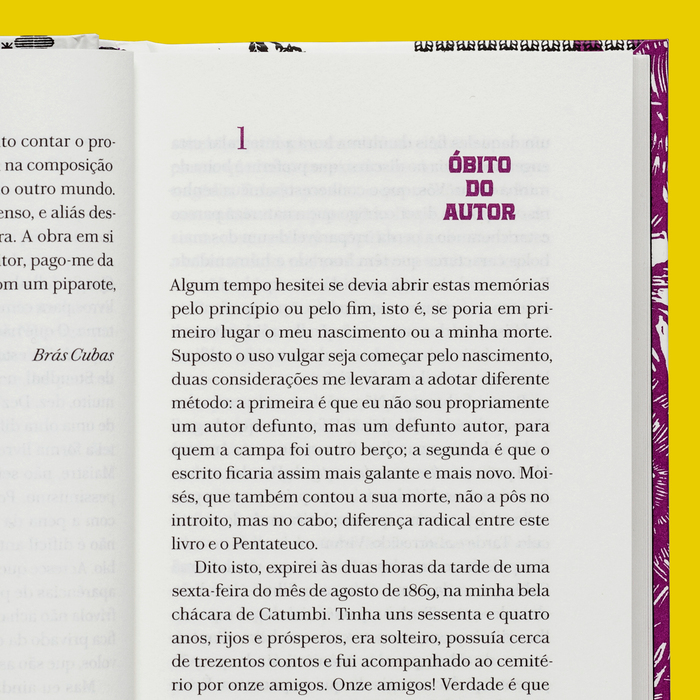 Memórias Póstumas de Brás Cubas, Machado de Assis 10