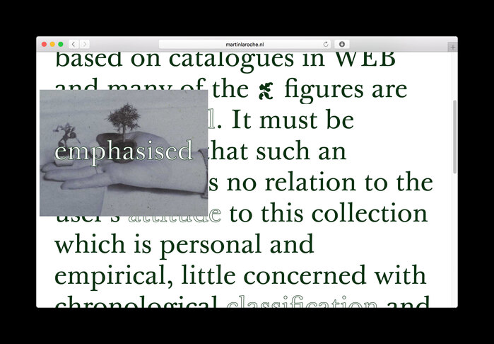 Martín La Roche Contreras website 2