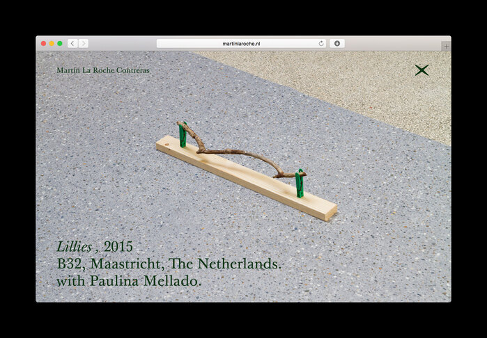 Martín La Roche Contreras website 4