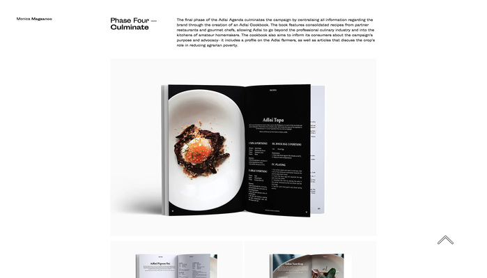 Monica Magsanoc website 6