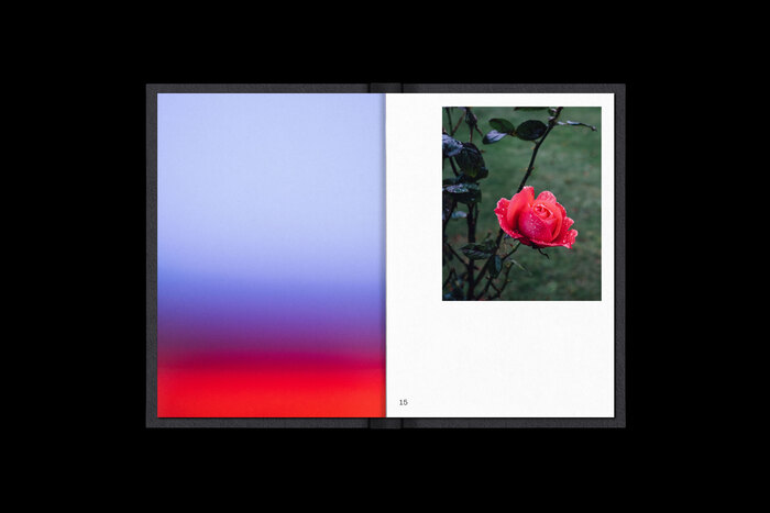 2012–17: A Photographic Retrospective – Yarron Frauenfelder 3