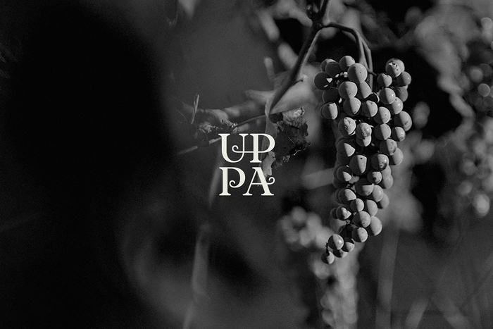 UPPA Winery 2