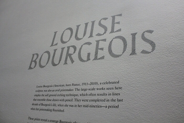 Louise Bourgeois — An Unfolding Portrait 3