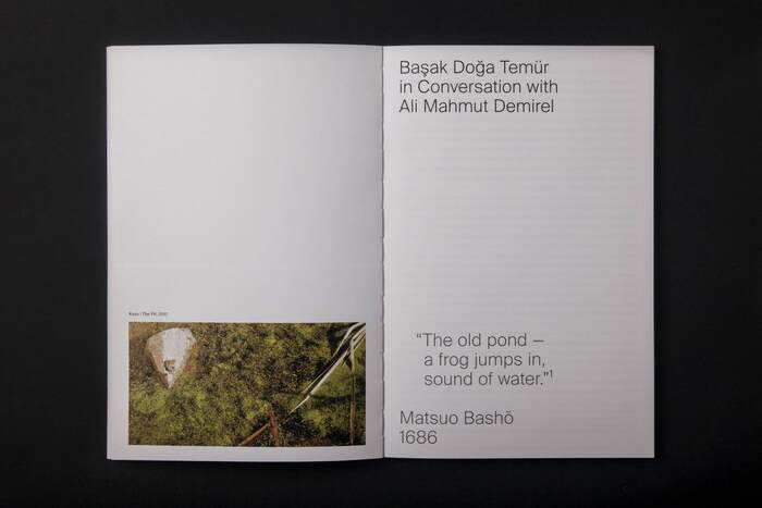 Ada | Isle 5