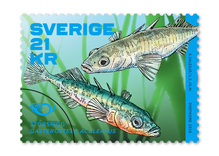 Fish in the Nordic Countries stamps