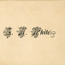 Mr. E. H. White, calling card with photograph