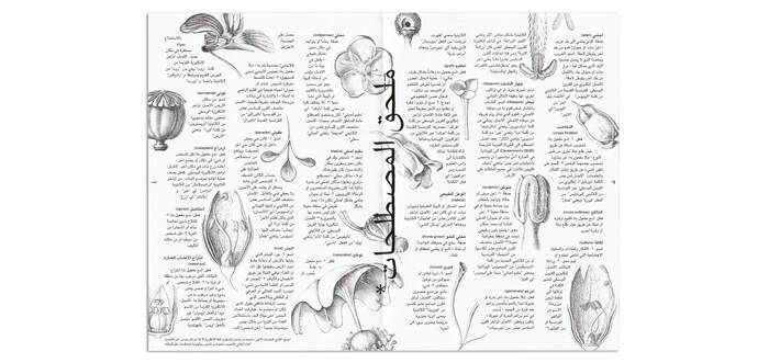 Apricots from Damascus 8