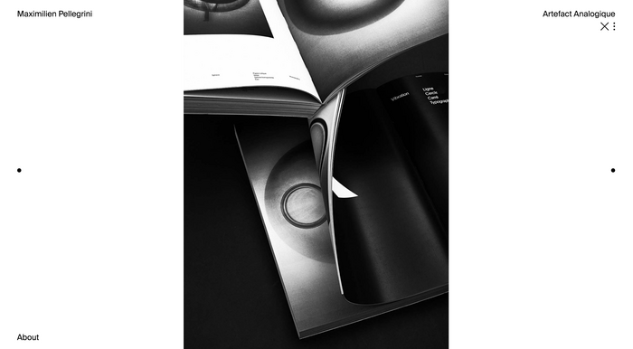 Maximilien Pellegrini website 5