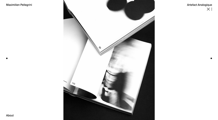 Maximilien Pellegrini website 6