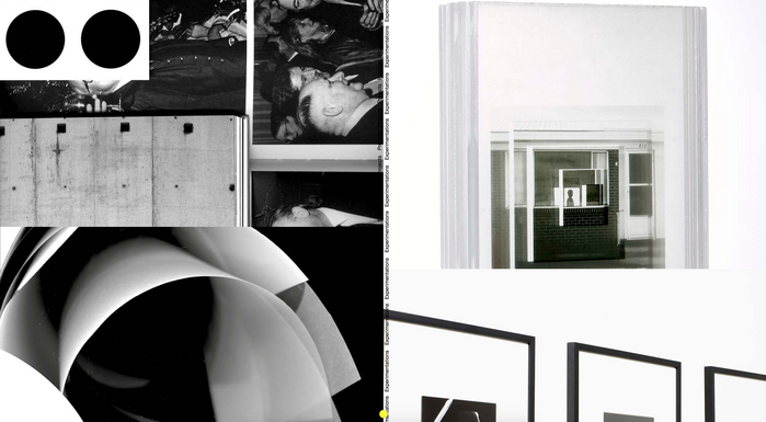 Maximilien Pellegrini website 2