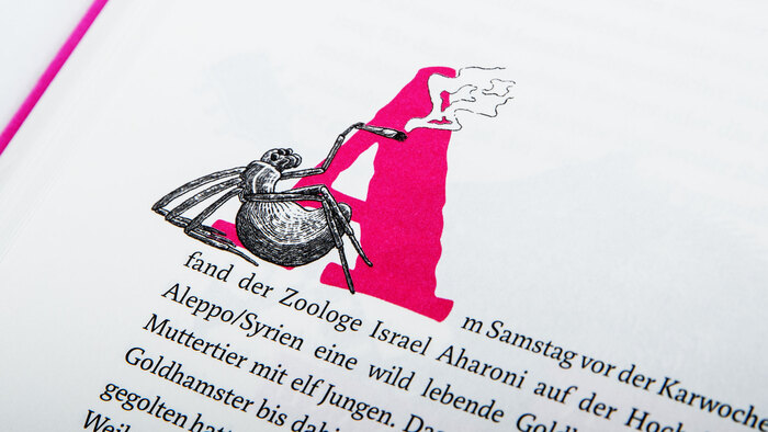 Gedankenlesen durch Schneckenstreicheln – Science Busters 13