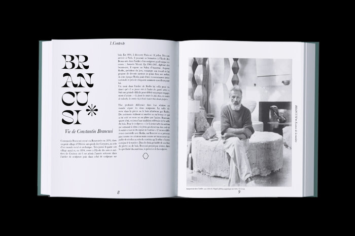 Brancusi: Essence de la matière 3