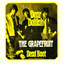 The Grapefruit – “Dear Delilah” German single cover