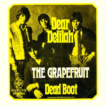 The Grapefruit – “Dear Delilah” German single cover