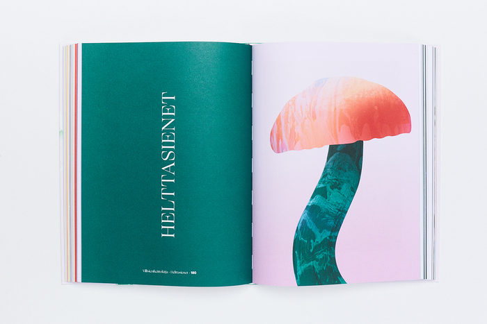Villisienikeittokirja (The Wild Mushroom Cookbook) 9